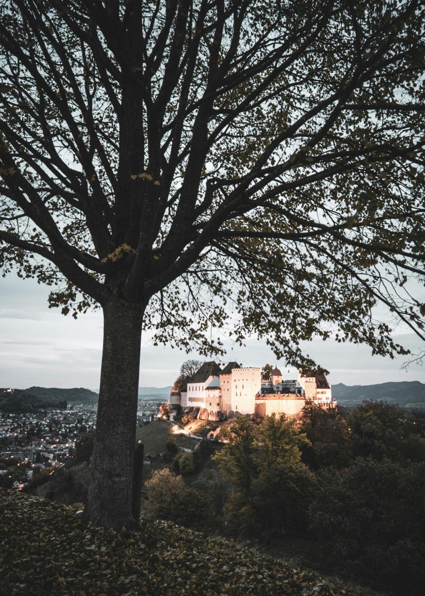 Villa Musica - Studio, Ruhig, Diskret,Mit Grossem Privatem Sitzplatz Lenzburg Dış mekan fotoğraf